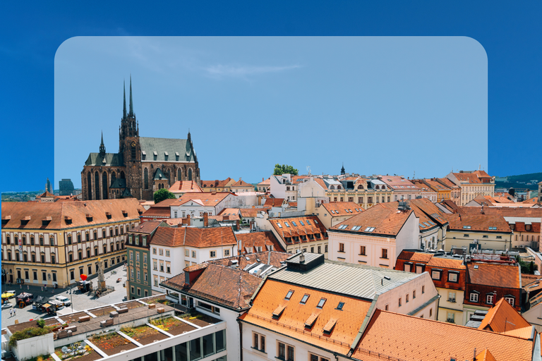 Web Z&aacute;sady Brno (1200 x 800 px)